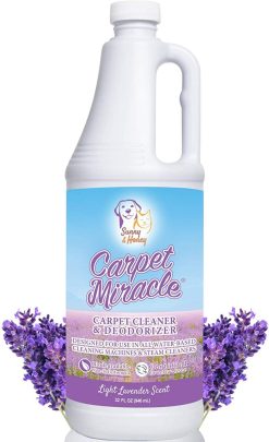 Carpet Cleaner