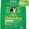 IAMS Minichunks Adult Dry Dog Food, Chicken