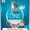 Purina ONE Tender Selects Blend Adult Dry Cat Food, 22lb