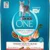 Purina ONE Tender Selects Blend Adult Dry Cat Food, Salmon