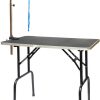 Go Pet Club Dog Grooming Table with Arm, 30-in