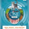 Purina ONE Dry Cat Food