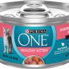 Pate Wet Kitten Food