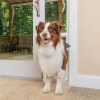 PetSafe Sliding 81-in Glass Pet Door