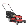 CRAFTSMAN CMXGMAM1125499 M110 140-cc 21-in Push Gas Lawn Mower with Briggs & Stratton Engine