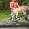 Pet Gear Reflective Extra Wide Foldable Dog Car Ramp, Tri-fold