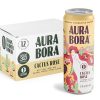 Cactus Rose Herbal Sparkling Water by Aura Bora 12 oz Can (Pack of 12), 0 Calories, 0 Sugar, 0 Sodium, Non-GMO