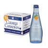 Clearly Canadian Orchard Peach Sparkling Spring Water Beverage, Natural & Carbonated, Flavored Seltzer Water, 1 Case (12 Bottles x 325mL)