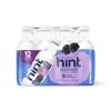 Hint Water Blackberry (Pack of 12) 16 Ounce Bottles Pure Water Infused with Blackberry, Zero Sugar, Zero Calories, Zero Sweeteners, Zero Preservatives, Zero Artificial Flavors