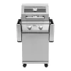 Monument 14633 Stainless Steel and Black 2-Burner Liquid Propane Gas Grill