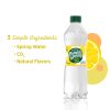 Poland Spring Sparkling Water Lemon Flavored 16.9 Fl Oz 24 Count Bottles