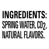 Poland Spring Sparkling Water Lemon Flavored 16.9 Fl Oz 24 Count Bottles
