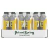 Poland Spring Sparkling Water Lemon Flavored 16.9 Fl Oz 24 Count Bottles