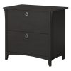 Bush Furniture Salinas Vintage Black 2-Drawer File Cabinet