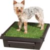 PetSafe Pet Loo Portable Indoor & Outdoor Dog Potty, Small