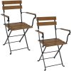 Sunnydaze Decor DMR-738 2 Black Metal Frame Stationary Dining Chair(s) with Slat Seat