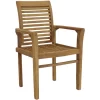 Sunnydaze Decor JVA-353 Brown Wood Frame Stationary Balcony Chair(s) with Slat Seat