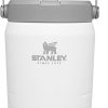 Stanley The IceFlow Flip Straw 40oz Jug, Polar (10-09996-002)