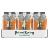 Poland Spring Sparkling Water, Orange, 16.9 oz. Bottles (24 Count)