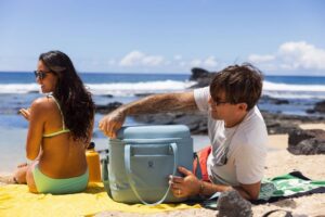 Hydro Flask Carry Out Cooler 20L
