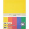 Recollections 12 Packs 50 ct. (600 total) Primary 8.5 x 11 Cardstock Paper