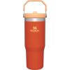 Stanley 30 Oz. IceFlow Tumbler with Flip Straw