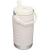 Stanley 64 Oz. IceFlow Jug with Flip Straw