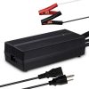 Renogy RBC20A1P 20 Amp AC-to-DC LFP Portable Battery Charger