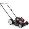 Black Max 21-inch 125cc Gas Push Mower with Briggs & Stratton Engine (Assembled Product Weight 46.9 lb; 22.10-inch Height)