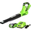 Greenworks 40V 135 CFM Leaf Blower/Sweeper w/2.0 Ah Battery, 24252