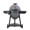 Char-Griller 6480 Akorn Auto-Kamado 20-inch Digital WiFi Charcoal Grill in Gray