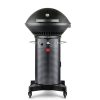 Fuego F24C Professional F24C Propane Gas Grill