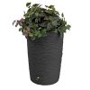 Good Ideas Impressions Eco Palm 50 Gallon Rain Saver - Black