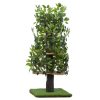 On2Pets Cat Tree with Leaves, Cat House & Cat Activity Tree, Multi-Level Cat Condo for Indoor Cats, Square Base, Green