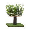 On2Pets 2ft Interchangeable Leaves Cat Activity Tree, Indoor Cat Tower, Comfy Cat Condo with Scratching Pads, Zen Green