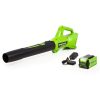 Greenworks 40V 350 CFM Leaf Blower With 2.0 Ah Battery, 2412002