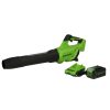 Greenworks 40V (550 CFM / 130 MPH) Brushless Axial Leaf Blower 4Ah USB Battery and Charger